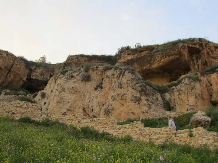 Ancient rock-cut caves of Iraq al-Amir