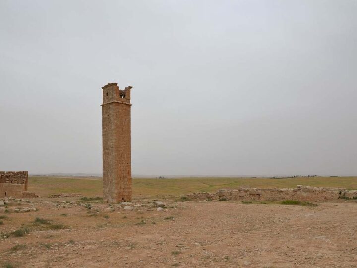 The stylite tower of Umm ar-Rasas and a square watchtower